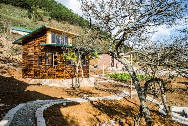  Thiết kế nhà gỗ homestay nằm tại các vị trí đắc địa (Nguồn: Internet)