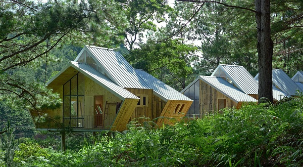  Thiết kế nhà gỗ cách biệt giữa lòng đất rừng Đà Lạt (Nguồn: Internet)